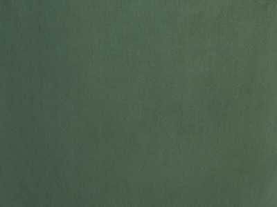 Vintage design armchair upholstered in green forest velvet - ARIZONA VERDE