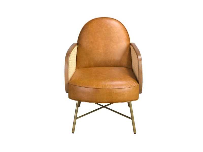 Modern designer armchair upholstered in genuine leather with gold stainless steel legs - AABERT
