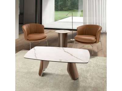 Table basse au design moderne avec bois, acier inoxydable et plateau en marbre de porcelaine - AALS