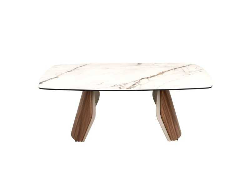 Table basse au design moderne avec bois, acier inoxydable et plateau en marbre de porcelaine - AALS