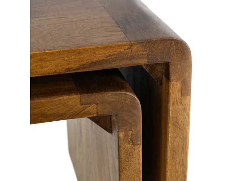 Ensemble de 2 tables basses en bois de manguier massif - AIRE